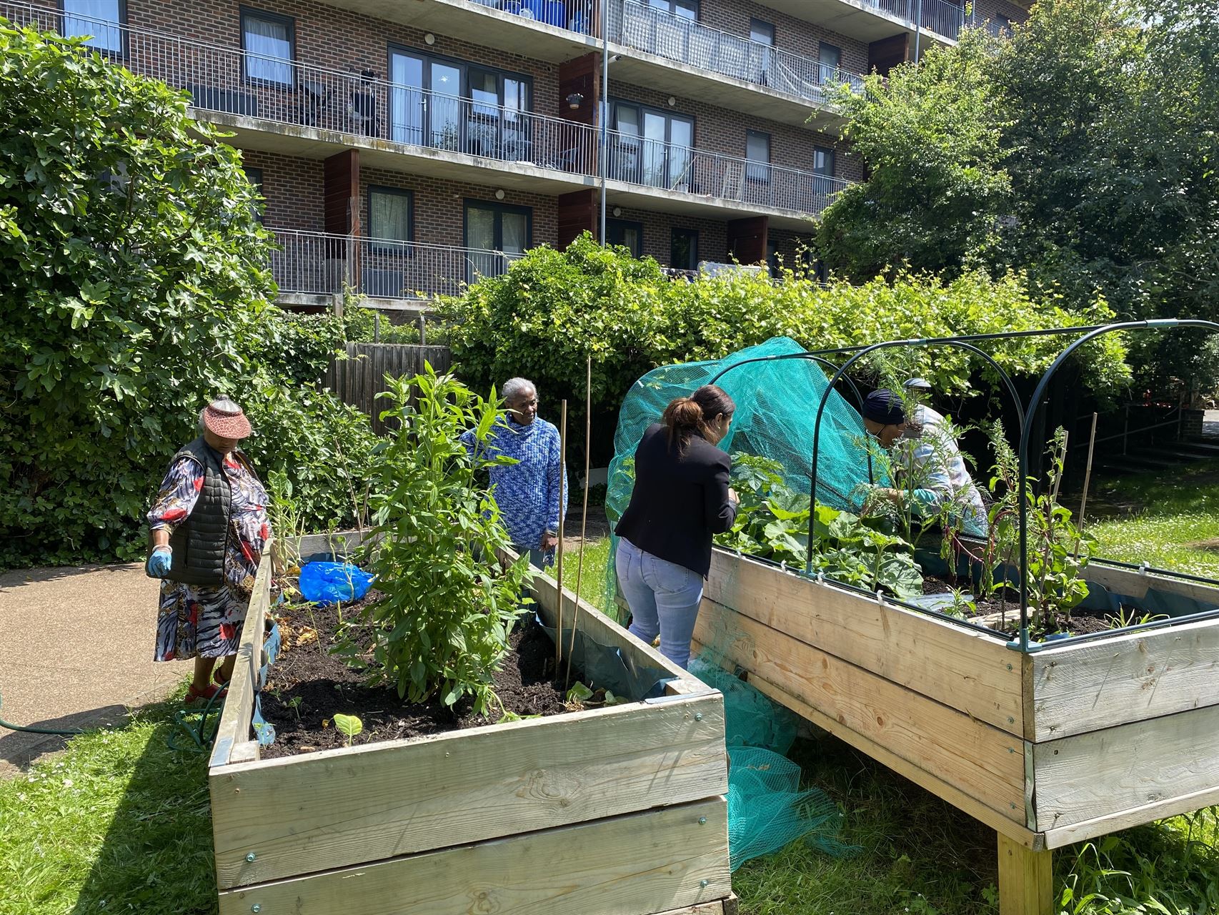 Our Garden Project